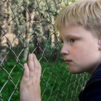 boy looking through wire fence