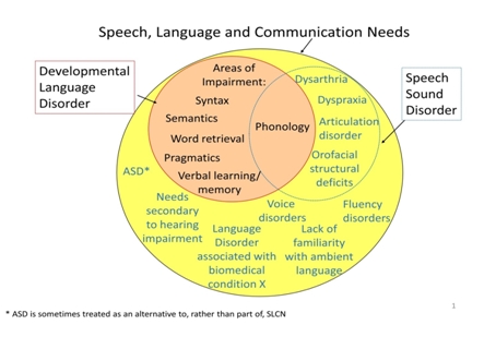 Overview of dyslexia and DLD