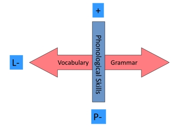 Diagram of phonological and linguistic ability