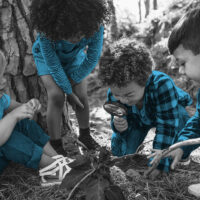 Children using magnifying glass to look at a leaf in the woods