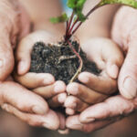 Group logo of ACEs SIG